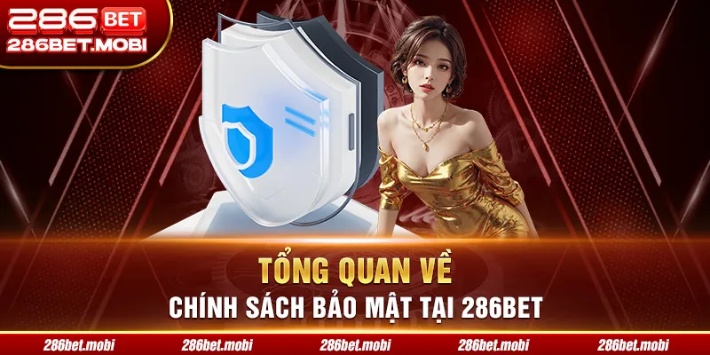 Tổng quan về chính sách bảo mật tại 286BET