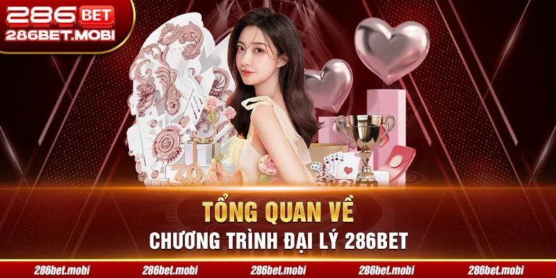 Tổng quan về đại lý 286BET