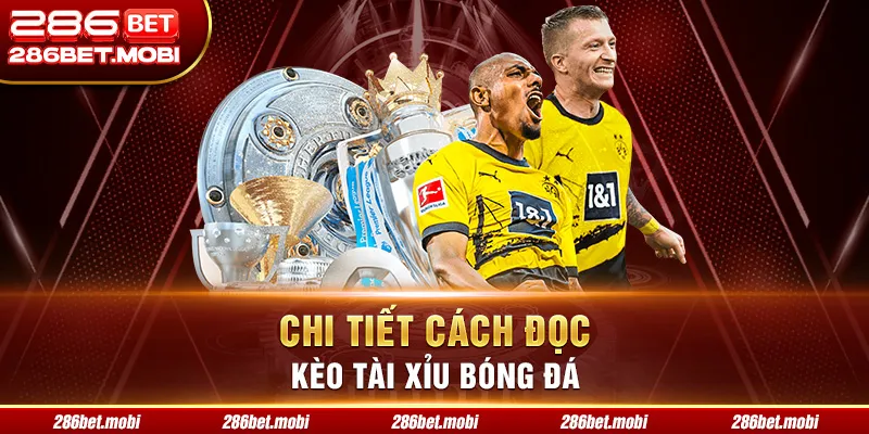 Chi tiết cách đọc kèo tài xỉu bóng đá